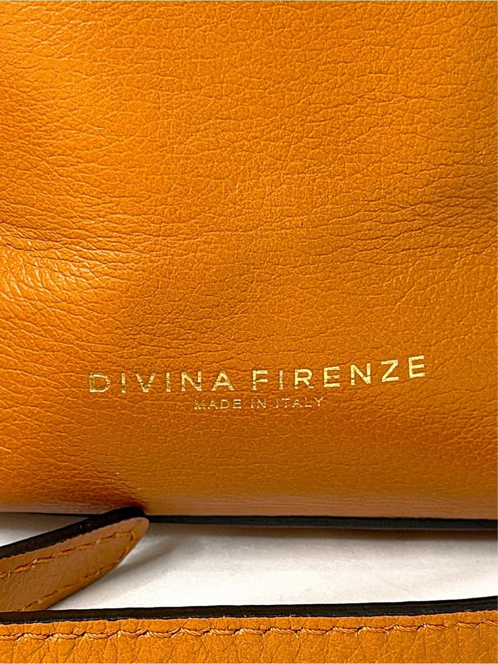 Divina Firenze Italy 3 Way Convertible Leather Backpack Crossbody EUC Cognac Tan